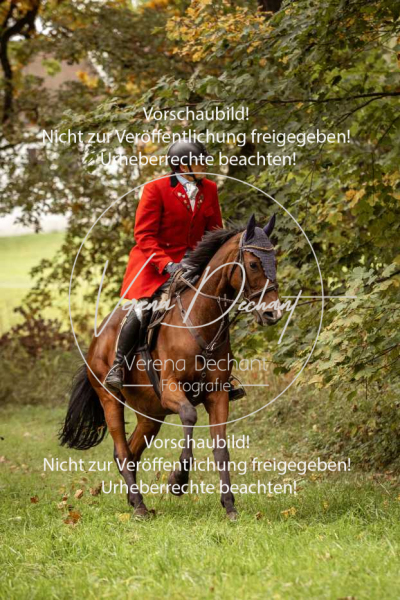 Schleppjagd_Herrenchiemsee-224 Schleppjagd_Herrenchiemsee-224