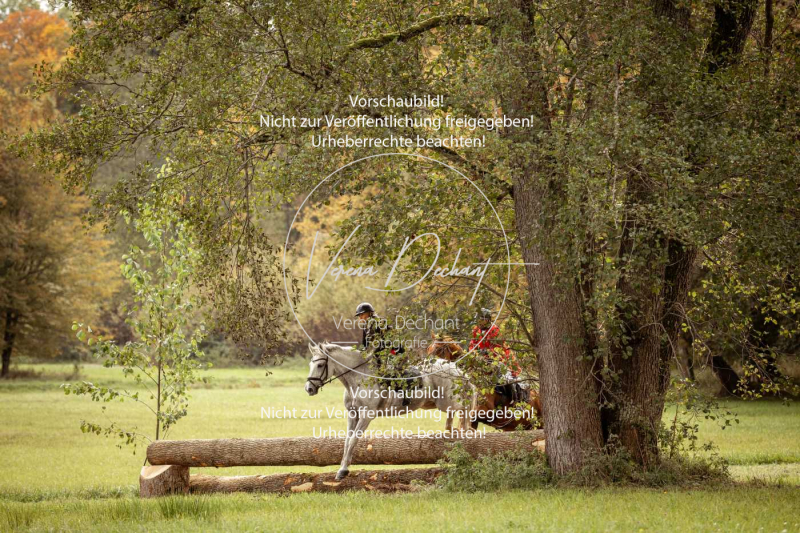 Schleppjagd_Herrenchiemsee-225 Schleppjagd_Herrenchiemsee-225