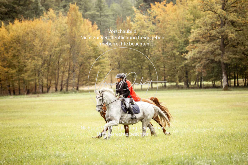 Schleppjagd_Herrenchiemsee-229 Schleppjagd_Herrenchiemsee-229