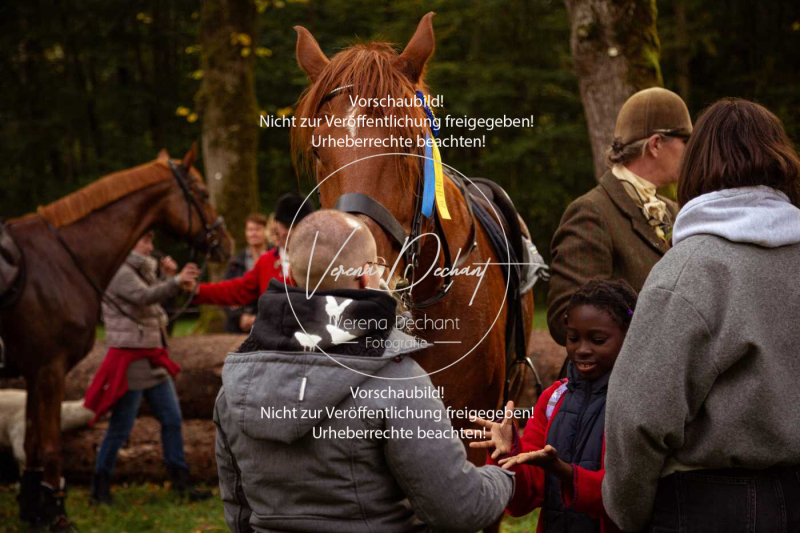 Schleppjagd_Herrenchiemsee-231 Schleppjagd_Herrenchiemsee-231