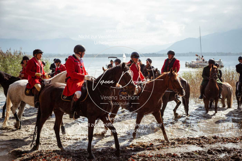 Schleppjagd_Herrenchiemsee-233 Schleppjagd_Herrenchiemsee-233