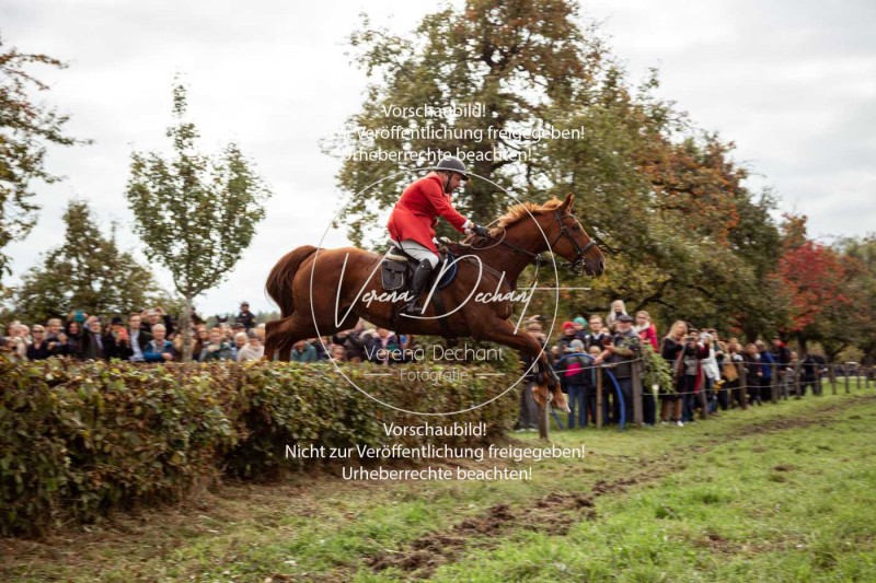 Schleppjagd_Herrenchiemsee-235 Schleppjagd_Herrenchiemsee-235