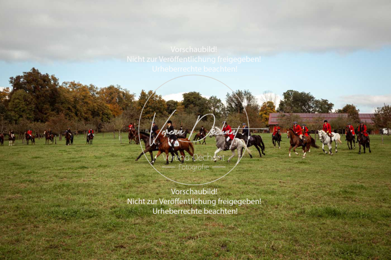 Schleppjagd_Herrenchiemsee-239-2 Schleppjagd_Herrenchiemsee-239-2