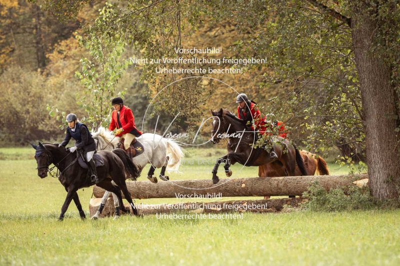 Schleppjagd_Herrenchiemsee-260 Schleppjagd_Herrenchiemsee-260