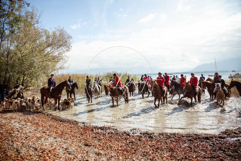 Schleppjagd_Herrenchiemsee-270-2 Schleppjagd_Herrenchiemsee-270-2