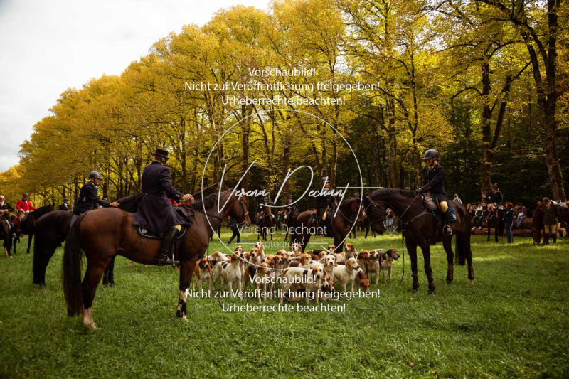 Schleppjagd_Herrenchiemsee-280-2 Schleppjagd_Herrenchiemsee-280-2