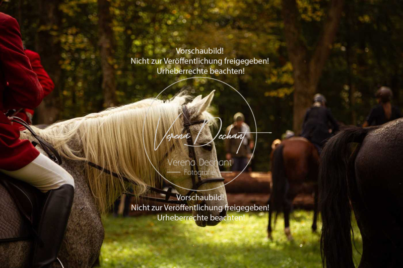 Schleppjagd_Herrenchiemsee-281 Schleppjagd_Herrenchiemsee-281