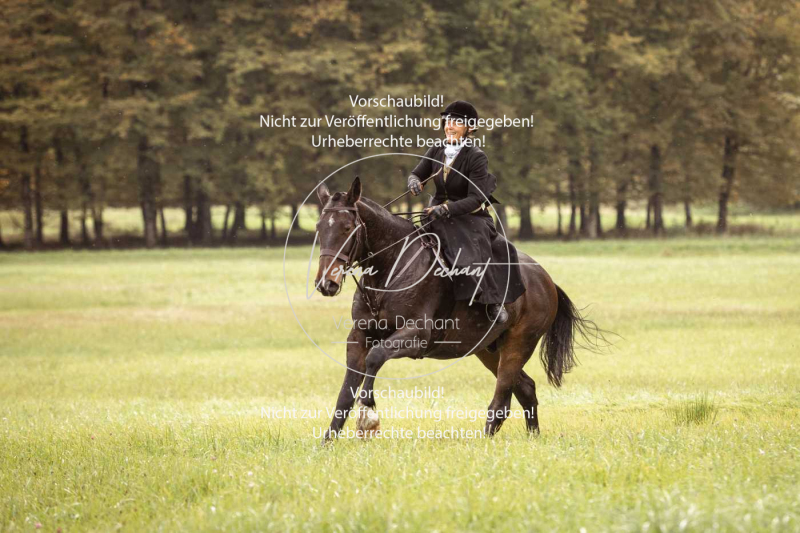 Schleppjagd_Herrenchiemsee-289 Schleppjagd_Herrenchiemsee-289