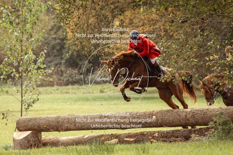 Schleppjagd_Herrenchiemsee-294 Schleppjagd_Herrenchiemsee-294