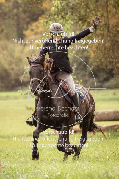 Schleppjagd_Herrenchiemsee-303 Schleppjagd_Herrenchiemsee-303