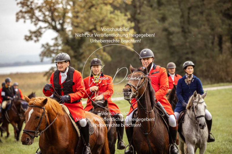 Schleppjagd_Herrenchiemsee-308 Schleppjagd_Herrenchiemsee-308