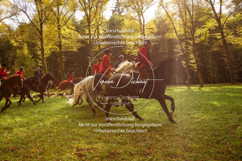 Schleppjagd_Herrenchiemsee-310 Schleppjagd_Herrenchiemsee-310