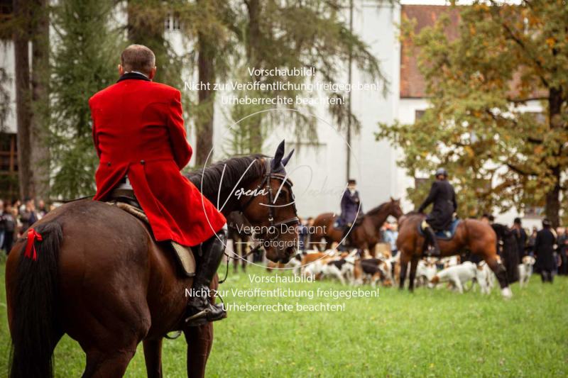 Schleppjagd_Herrenchiemsee-317 Schleppjagd_Herrenchiemsee-317