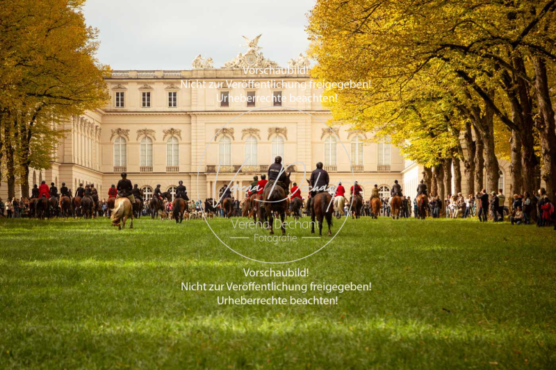 Schleppjagd_Herrenchiemsee-325 Schleppjagd_Herrenchiemsee-325