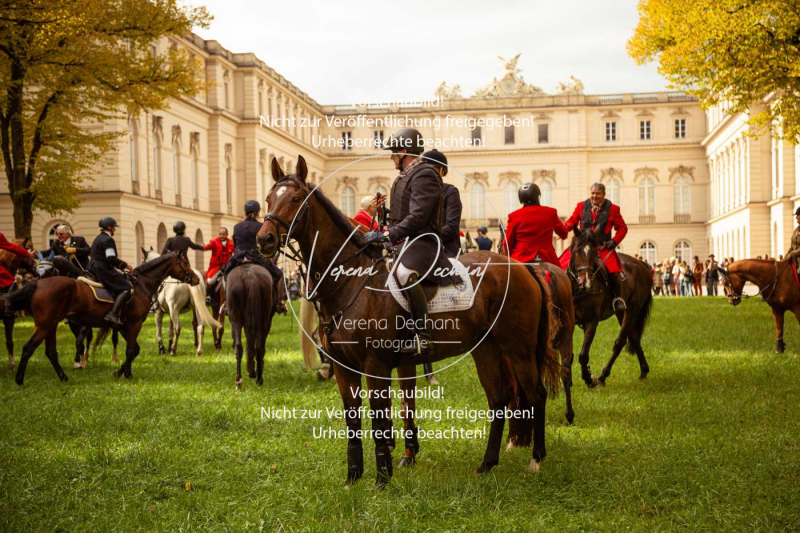 Schleppjagd_Herrenchiemsee-330 Schleppjagd_Herrenchiemsee-330