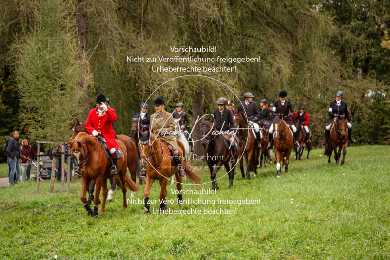 Schleppjagd_Herrenchiemsee-331 Schleppjagd_Herrenchiemsee-331