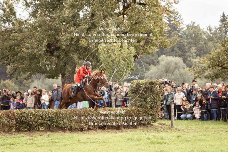 Schleppjagd_Herrenchiemsee-334 Schleppjagd_Herrenchiemsee-334