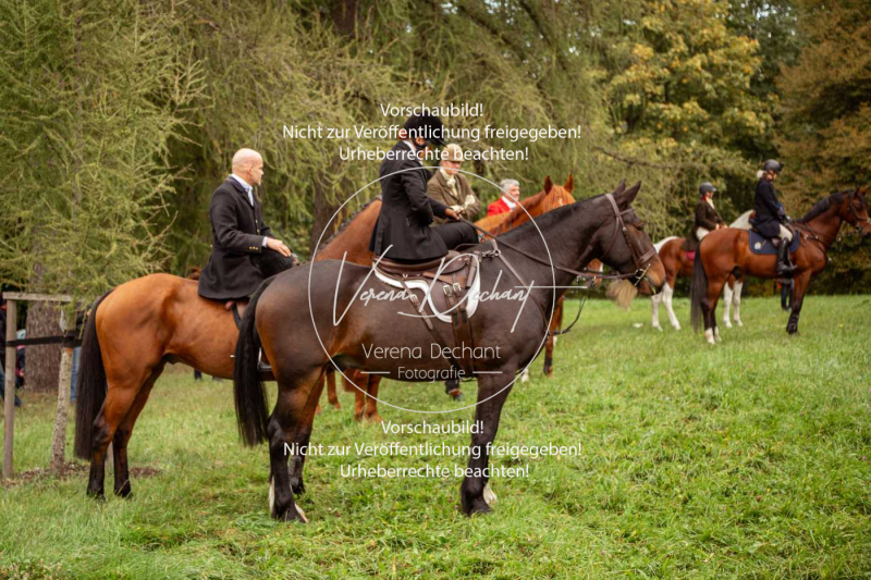 Schleppjagd_Herrenchiemsee-335 Schleppjagd_Herrenchiemsee-335