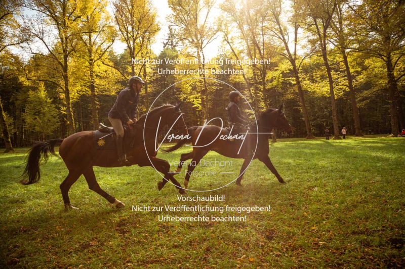 Schleppjagd_Herrenchiemsee-336 Schleppjagd_Herrenchiemsee-336