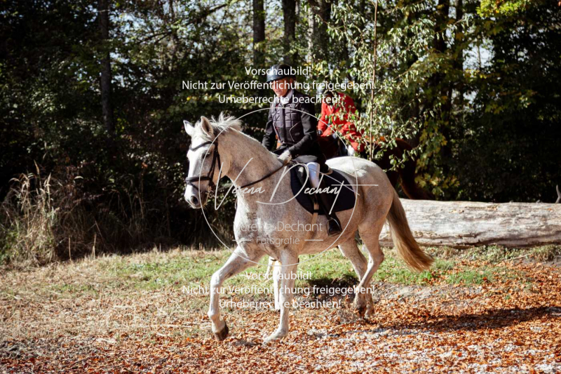 Schleppjagd_Herrenchiemsee-339 Schleppjagd_Herrenchiemsee-339