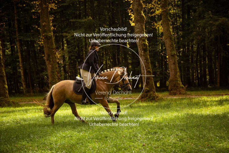 Schleppjagd_Herrenchiemsee-343 Schleppjagd_Herrenchiemsee-343