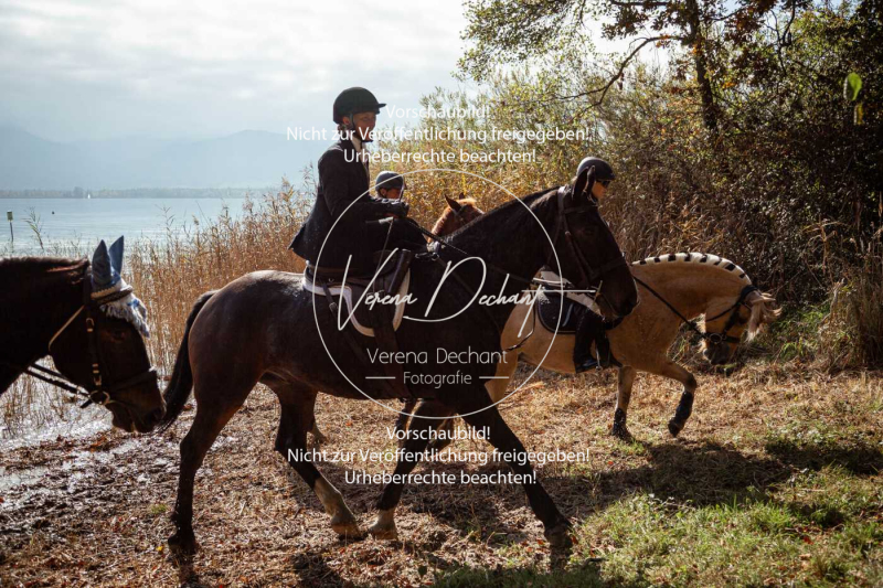 Schleppjagd_Herrenchiemsee-344 Schleppjagd_Herrenchiemsee-344