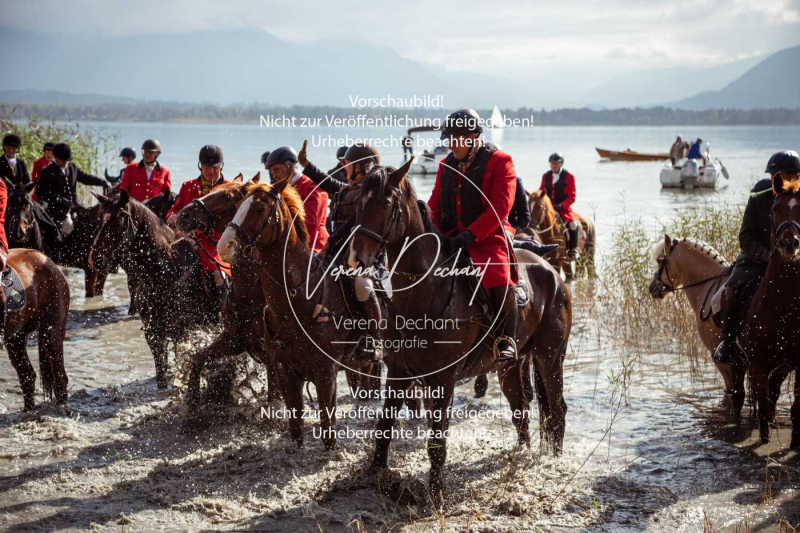 Schleppjagd_Herrenchiemsee-352-2 Schleppjagd_Herrenchiemsee-352-2