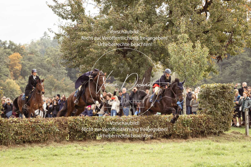 Schleppjagd_Herrenchiemsee-352 Schleppjagd_Herrenchiemsee-352