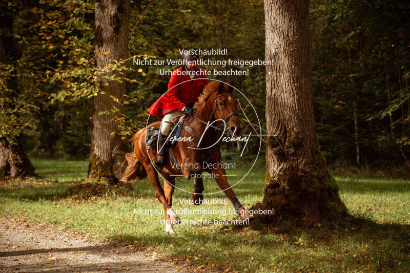 Schleppjagd_Herrenchiemsee-362 Schleppjagd_Herrenchiemsee-362