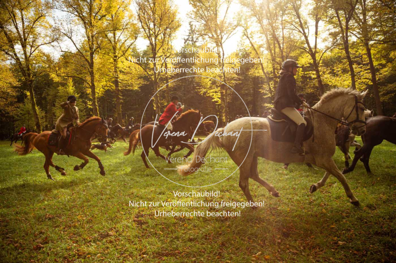 Schleppjagd_Herrenchiemsee-370 Schleppjagd_Herrenchiemsee-370