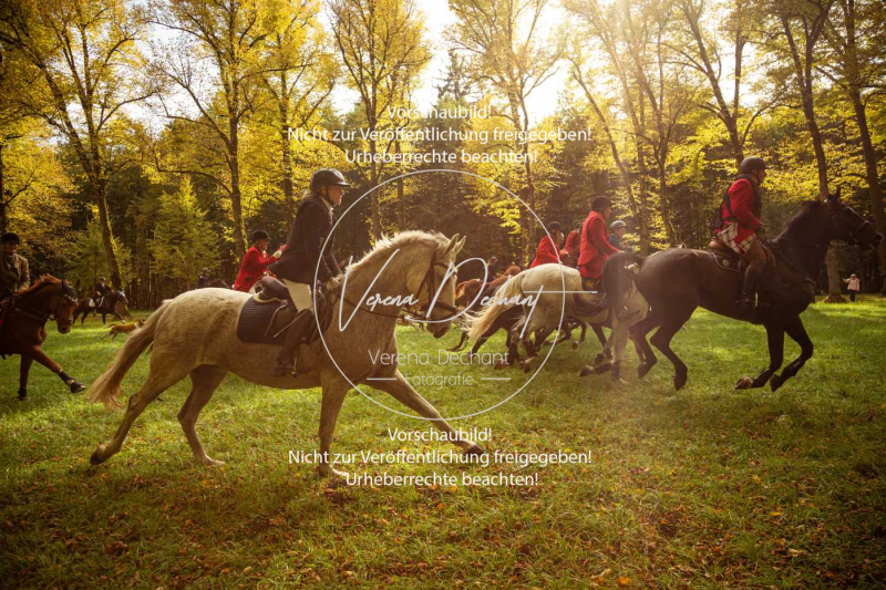 Schleppjagd_Herrenchiemsee-372 Schleppjagd_Herrenchiemsee-372