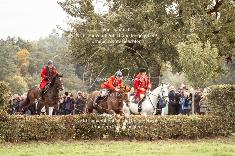 Schleppjagd_Herrenchiemsee-373 Schleppjagd_Herrenchiemsee-373