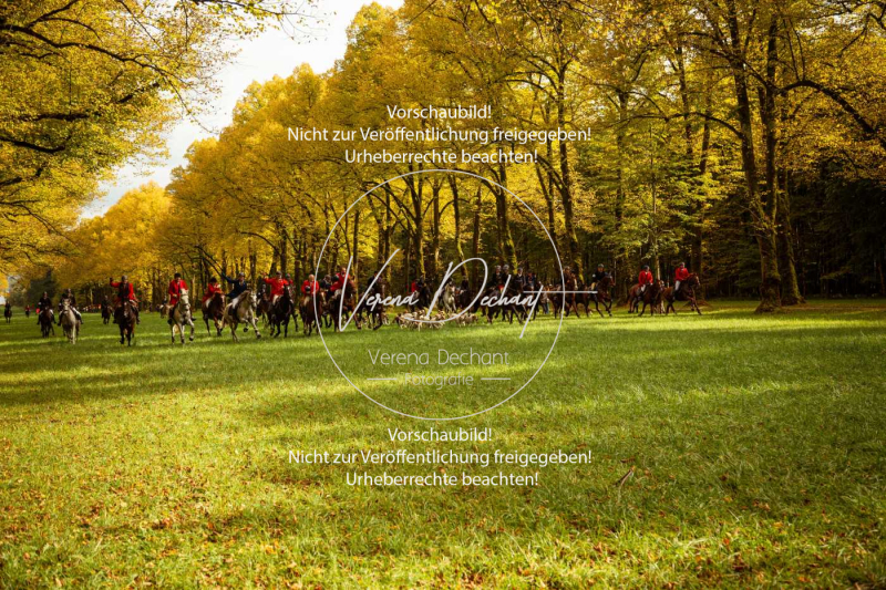 Schleppjagd_Herrenchiemsee-379 Schleppjagd_Herrenchiemsee-379