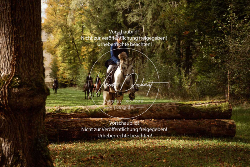 Schleppjagd_Herrenchiemsee-380 Schleppjagd_Herrenchiemsee-380