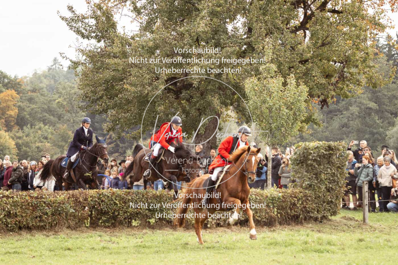 Schleppjagd_Herrenchiemsee-385 Schleppjagd_Herrenchiemsee-385