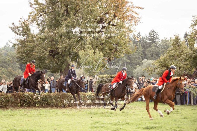 Schleppjagd_Herrenchiemsee-391 Schleppjagd_Herrenchiemsee-391