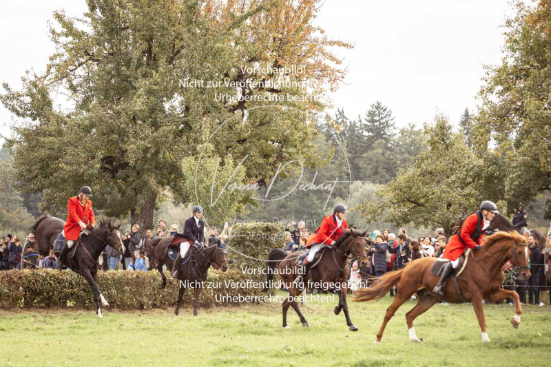 Schleppjagd_Herrenchiemsee-392 Schleppjagd_Herrenchiemsee-392