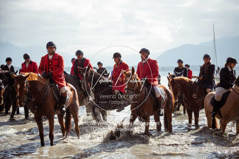 Schleppjagd_Herrenchiemsee-394 Schleppjagd_Herrenchiemsee-394