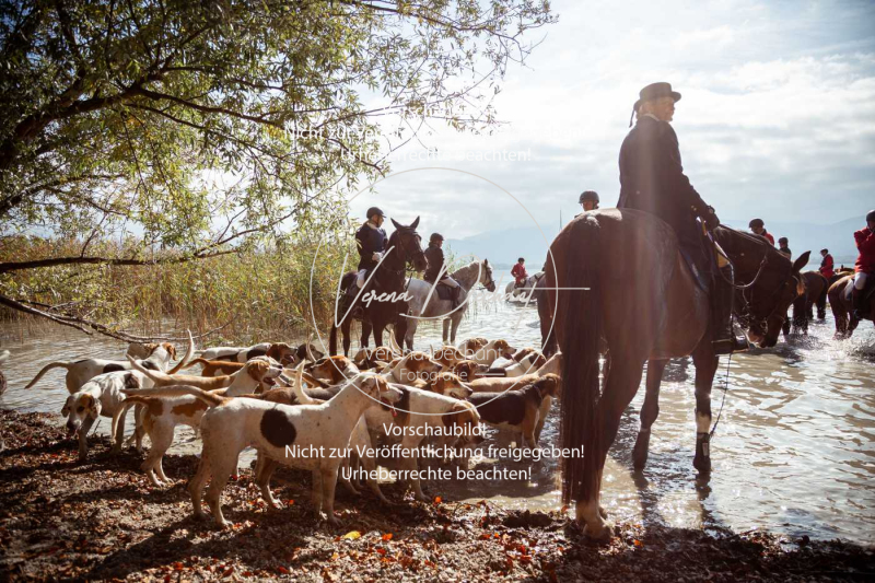 Schleppjagd_Herrenchiemsee-396 Schleppjagd_Herrenchiemsee-396