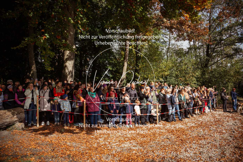 Schleppjagd_Herrenchiemsee-401 Schleppjagd_Herrenchiemsee-401