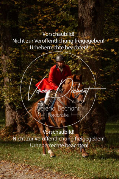 Schleppjagd_Herrenchiemsee-403 Schleppjagd_Herrenchiemsee-403