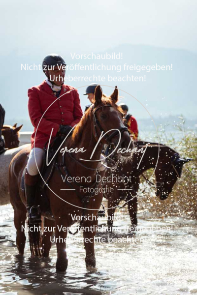 Schleppjagd_Herrenchiemsee-413-2 Schleppjagd_Herrenchiemsee-413-2