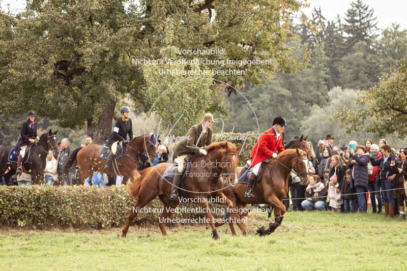 Schleppjagd_Herrenchiemsee-423 Schleppjagd_Herrenchiemsee-423