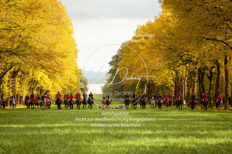 Schleppjagd_Herrenchiemsee-427 Schleppjagd_Herrenchiemsee-427