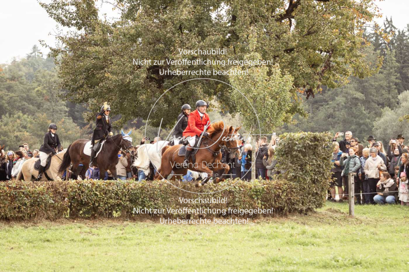 Schleppjagd_Herrenchiemsee-432 Schleppjagd_Herrenchiemsee-432