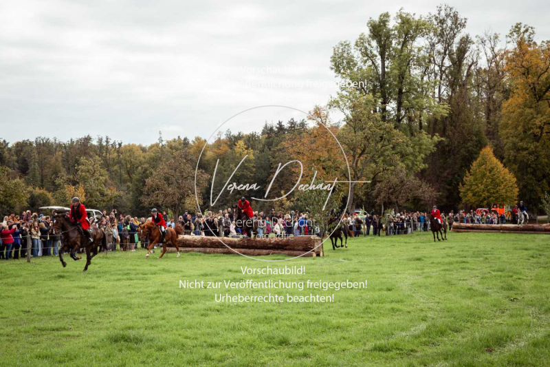 Schleppjagd_Herrenchiemsee-451 Schleppjagd_Herrenchiemsee-451