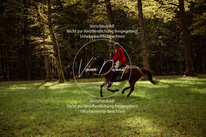 Schleppjagd_Herrenchiemsee-462 Schleppjagd_Herrenchiemsee-462