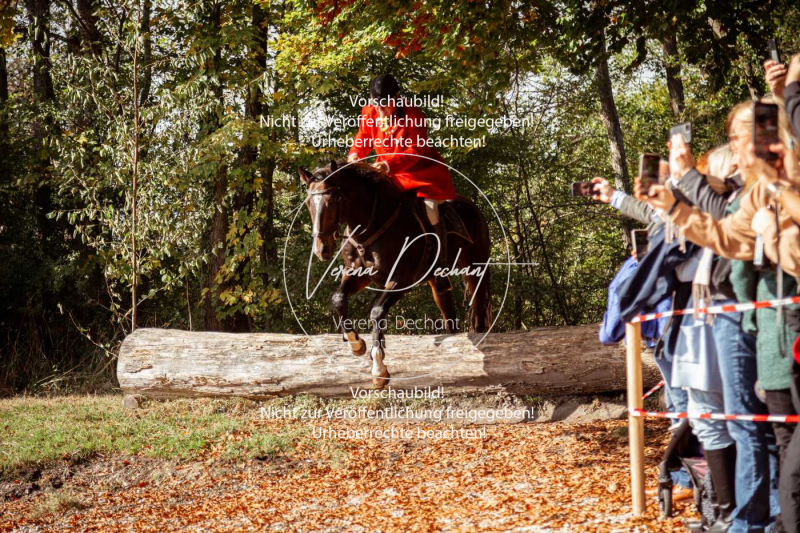 Schleppjagd_Herrenchiemsee-465 Schleppjagd_Herrenchiemsee-465