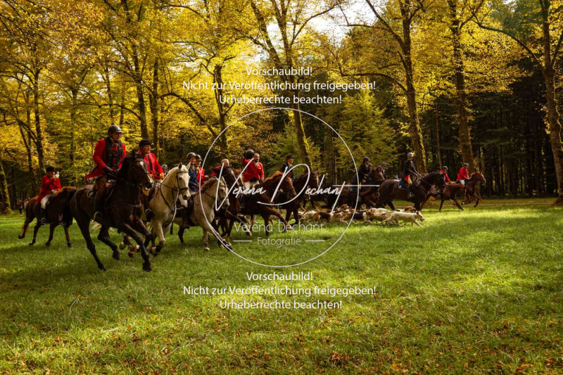 Schleppjagd_Herrenchiemsee-469 Schleppjagd_Herrenchiemsee-469