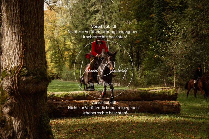 Schleppjagd_Herrenchiemsee-471 Schleppjagd_Herrenchiemsee-471